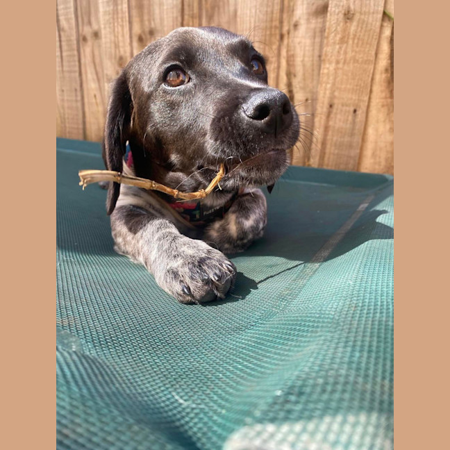 Photo of Echo