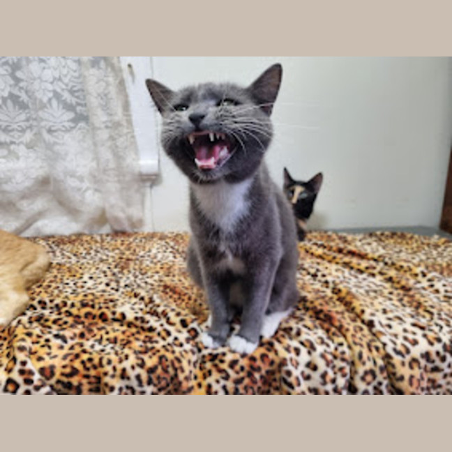 Photo of Phrada 🌒