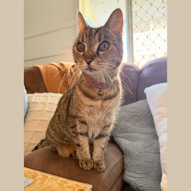 Photo of Asha