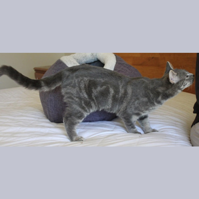 Photo of Astrid