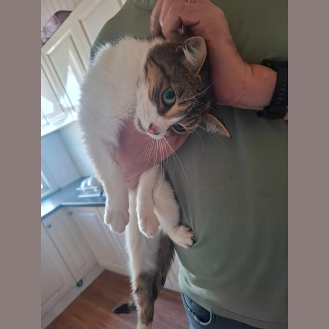 Photo of Squeak