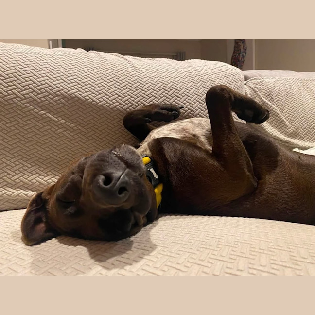 Photo of Bonnie