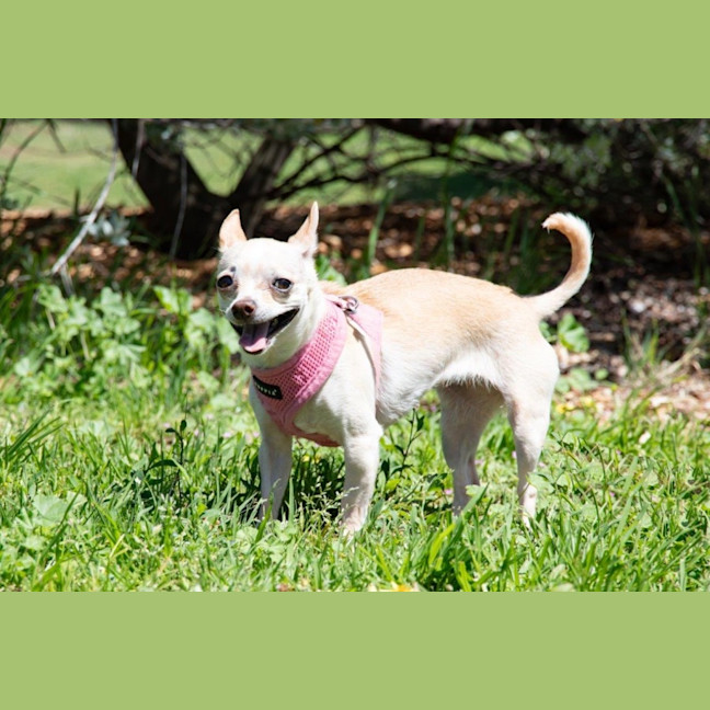 Photo of Holly Silvanus