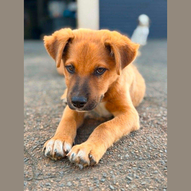 Photo of Jet Lee