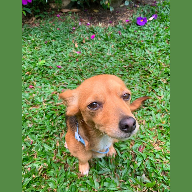 Photo of Tiny
