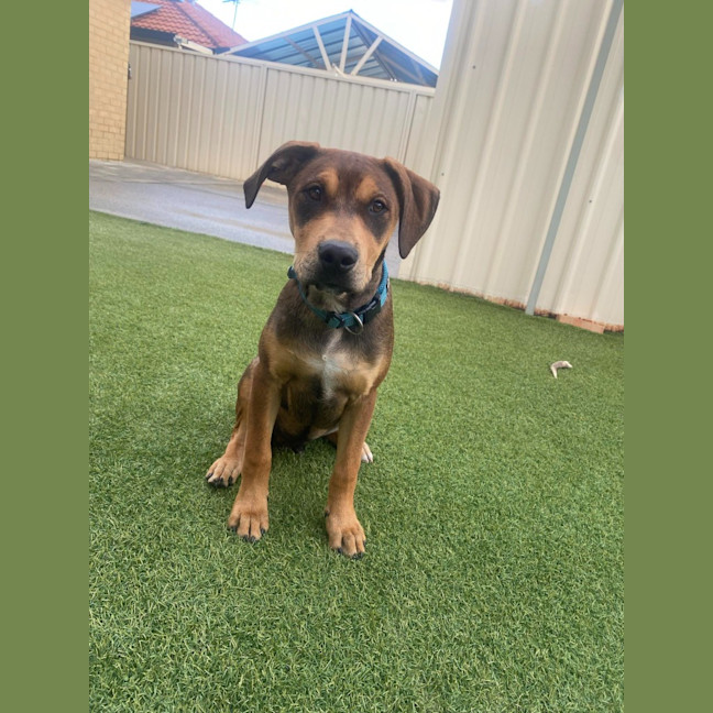 Photo of Spike