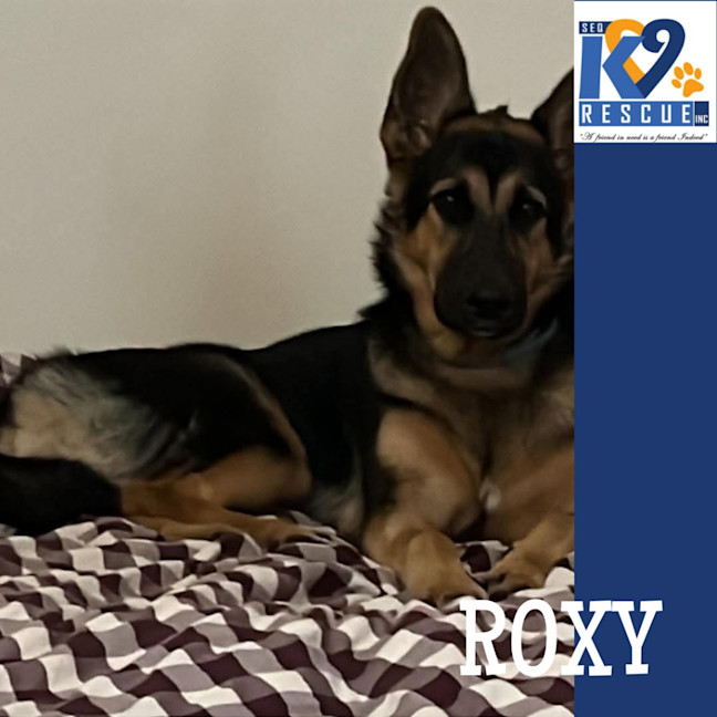 Photo of Roxy