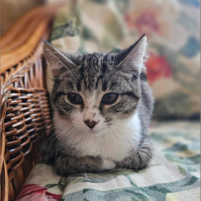 Photo of Truffle & Faun 