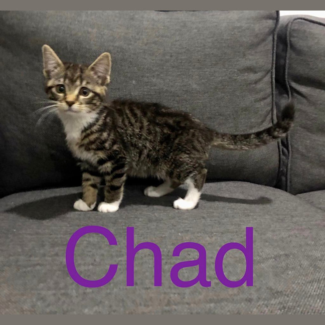 Photo of Chad