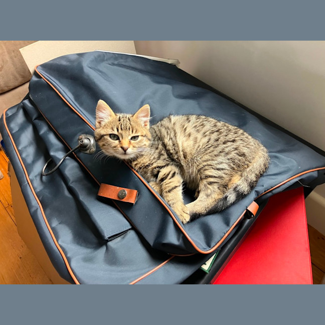 Photo of Chloe