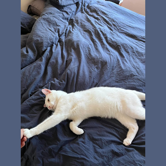 Photo of Ice