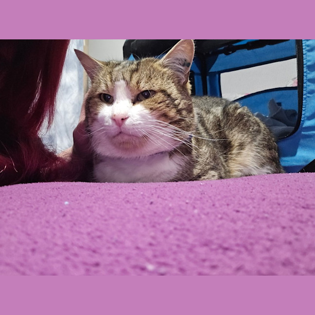 Photo of Dean