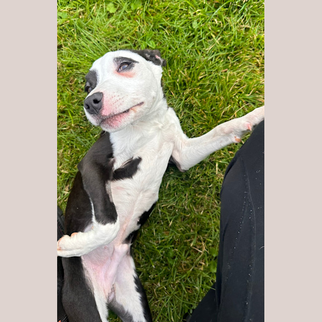 Photo of Murphy