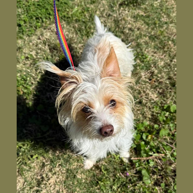 Photo of Bert (9003)