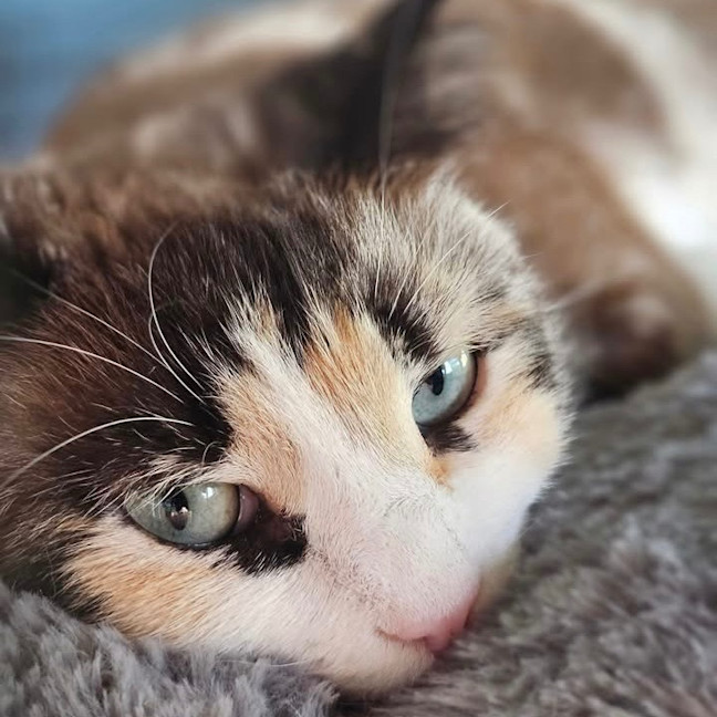 Photo of Miss Marbles