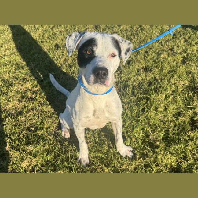 Photo of Wally Imp 1332