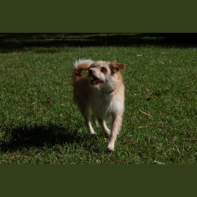 Photo of Buster Bulleau