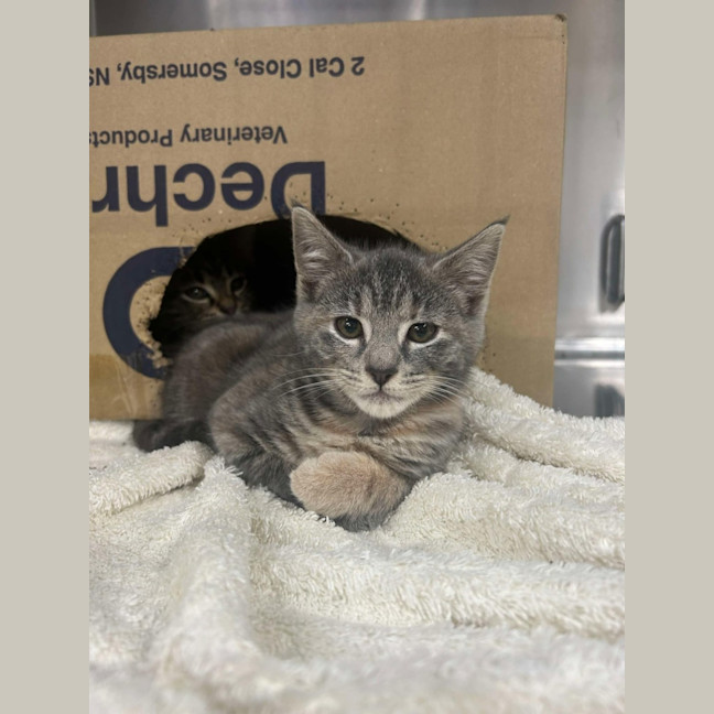 Photo of Vicki   Located In Pakenham