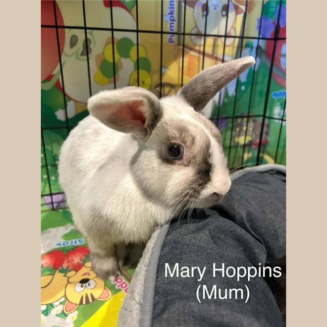 Photo of Mary Hoppins With Audrey Hopburn