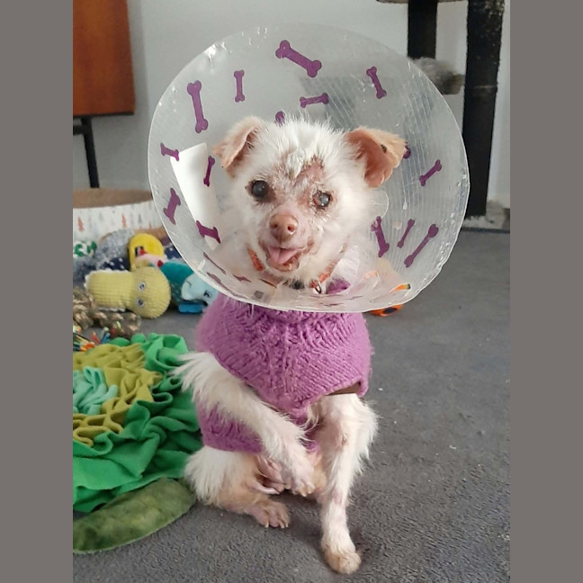 Photo of Mindy