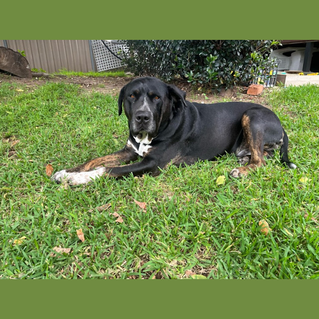 Photo of Cash