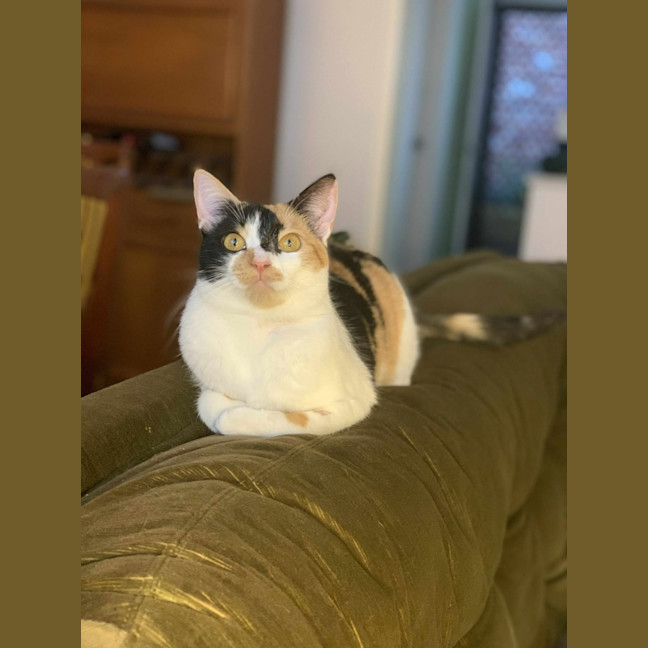 Photo of Maia   Located In Preston