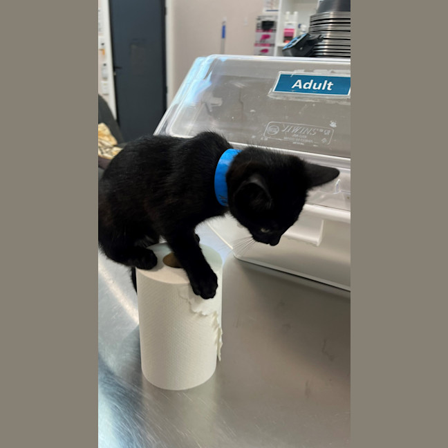 Photo of Adam (9992)