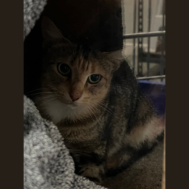 Photo of Peggy