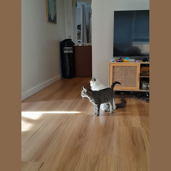 Photo of Jennifer Sparkles