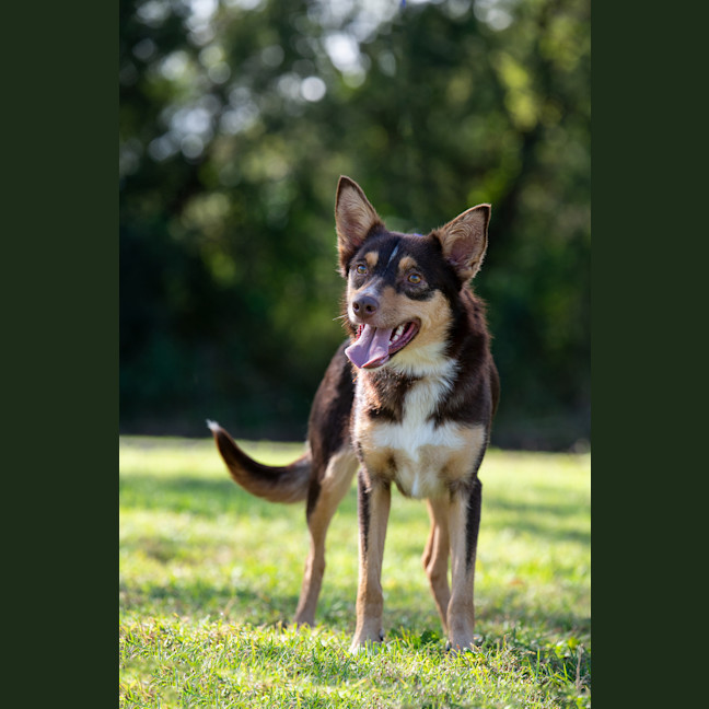 Photo of Ruby