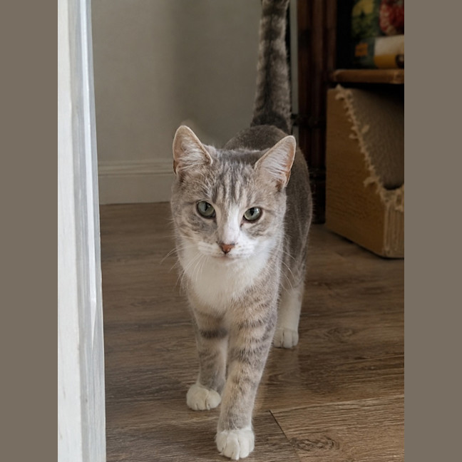 Photo of Leeloo