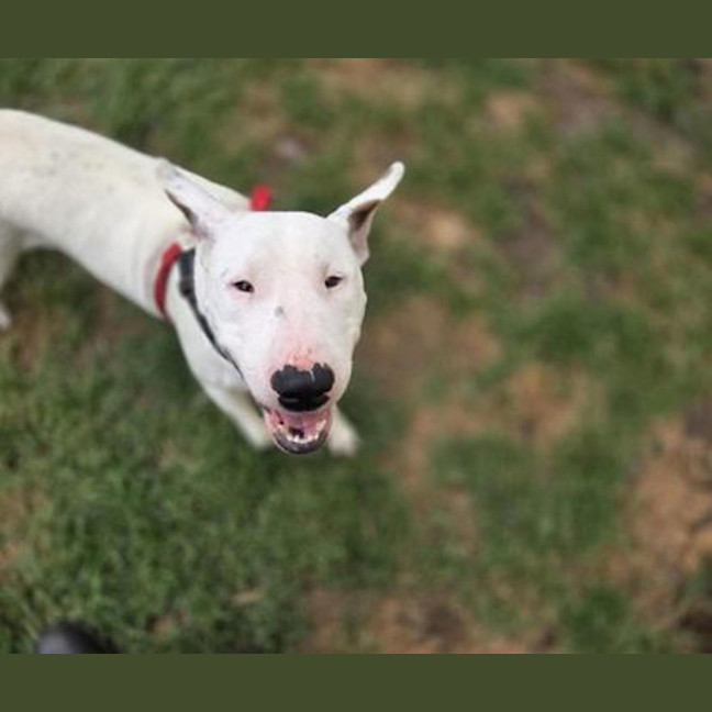 Photo of Roxie