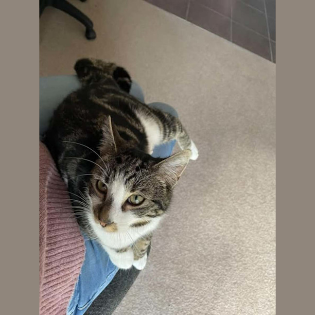 Photo of Ernie