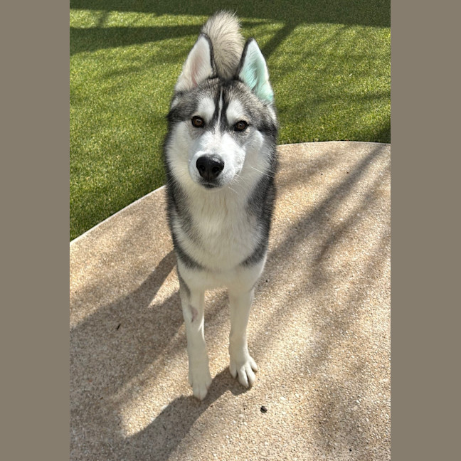 Photo of Jack 