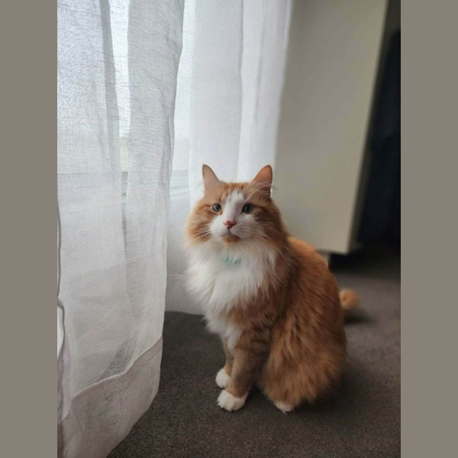 Photo of Baxter