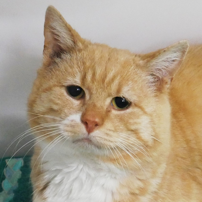 Photo of Augustus Sta012884