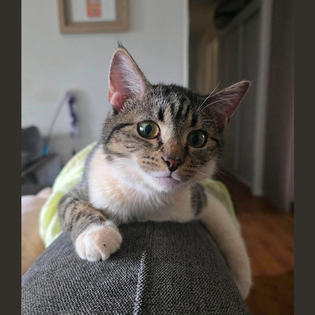 Photo of Mystic