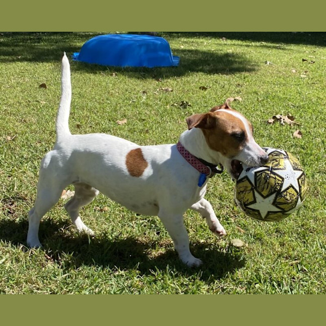 Photo of Spirit