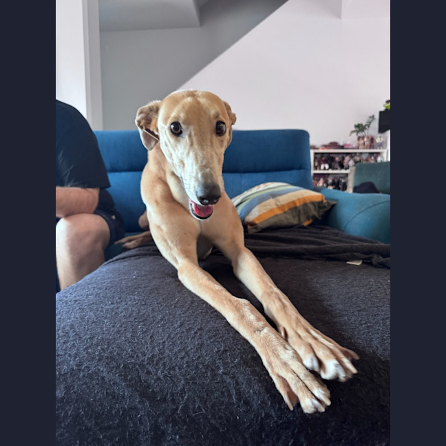 Photo of Sandy