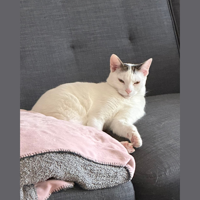 Photo of Agatha