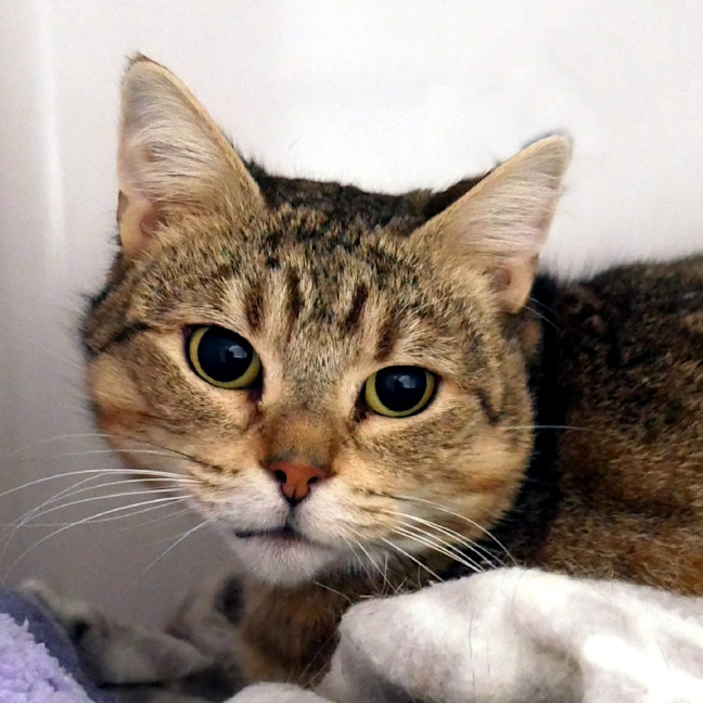 Photo of Alice Sta014922