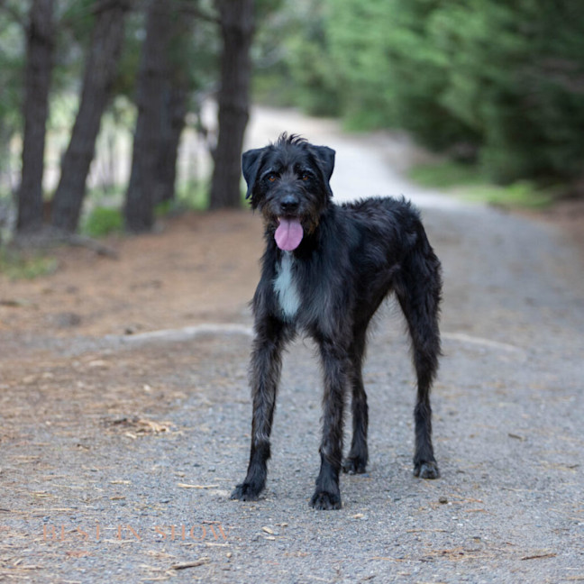 Photo of Luna