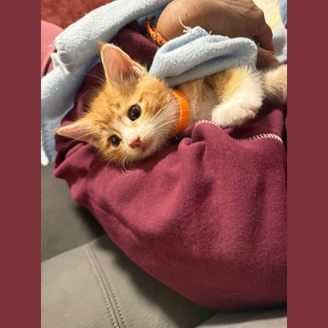 Photo of Timmy