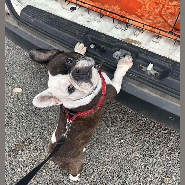 Photo of Ruffo