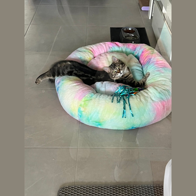 Photo of Rayne And River