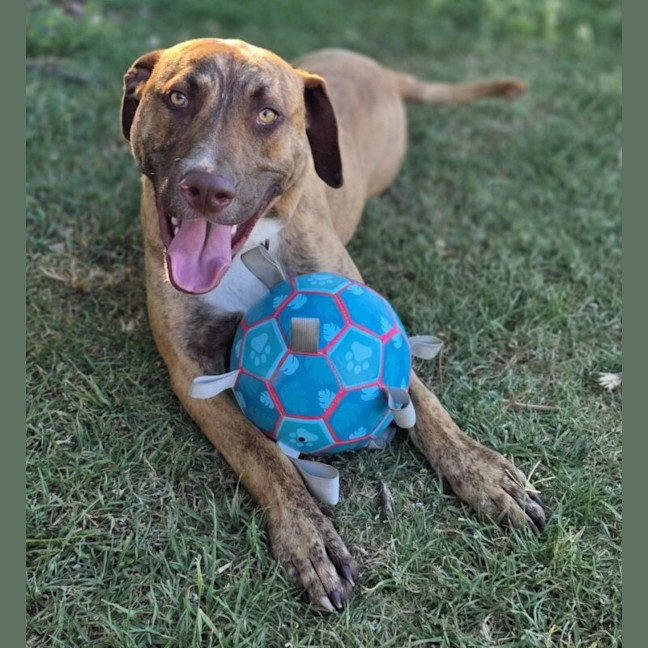 Photo of Kobe