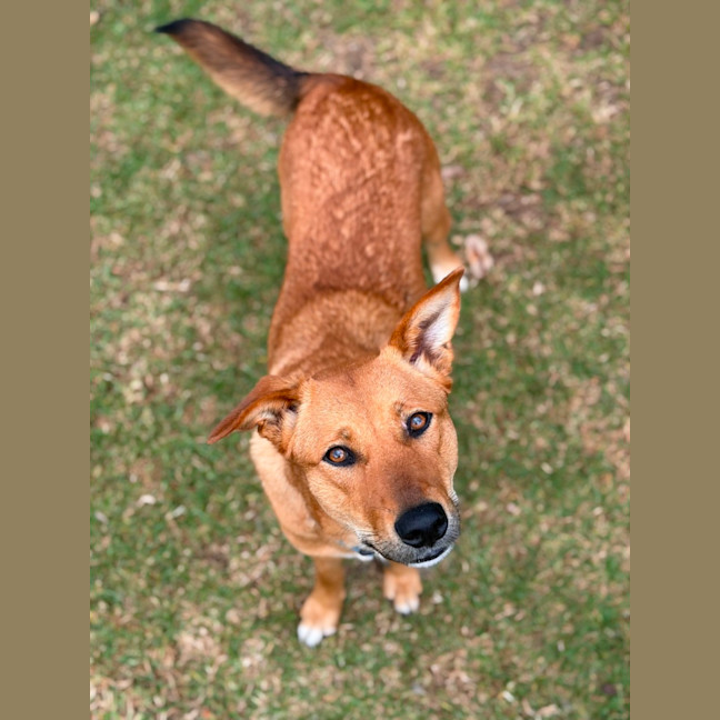 Photo of Thelma