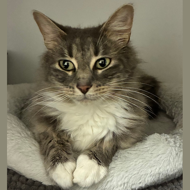 Photo of Clawdia