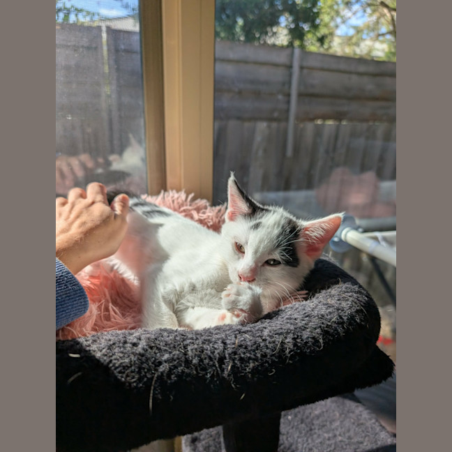 Photo of Freddy