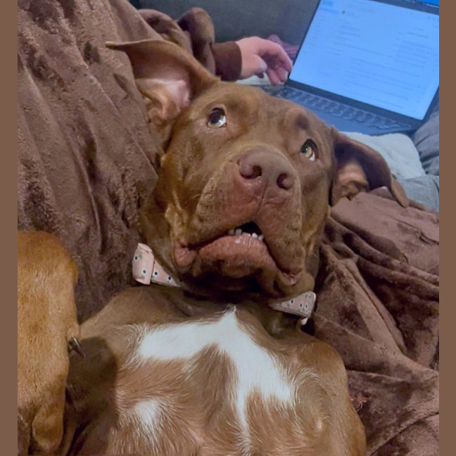 Photo of Coco